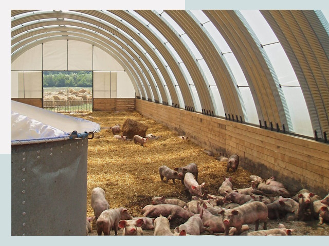 Строительство свинарников в Белой Калитве