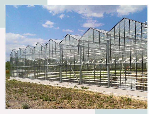Строительство теплиц в Белая Калитва от 622 руб. за м²