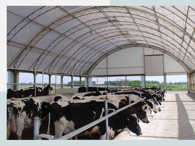 Тентовые коровники в Белой Калитве